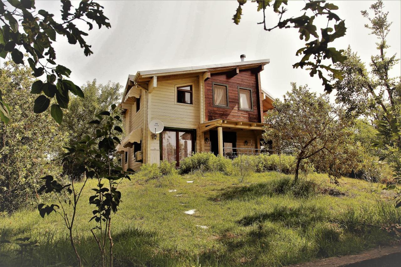 Wooden House Villa Preveza Buitenkant foto